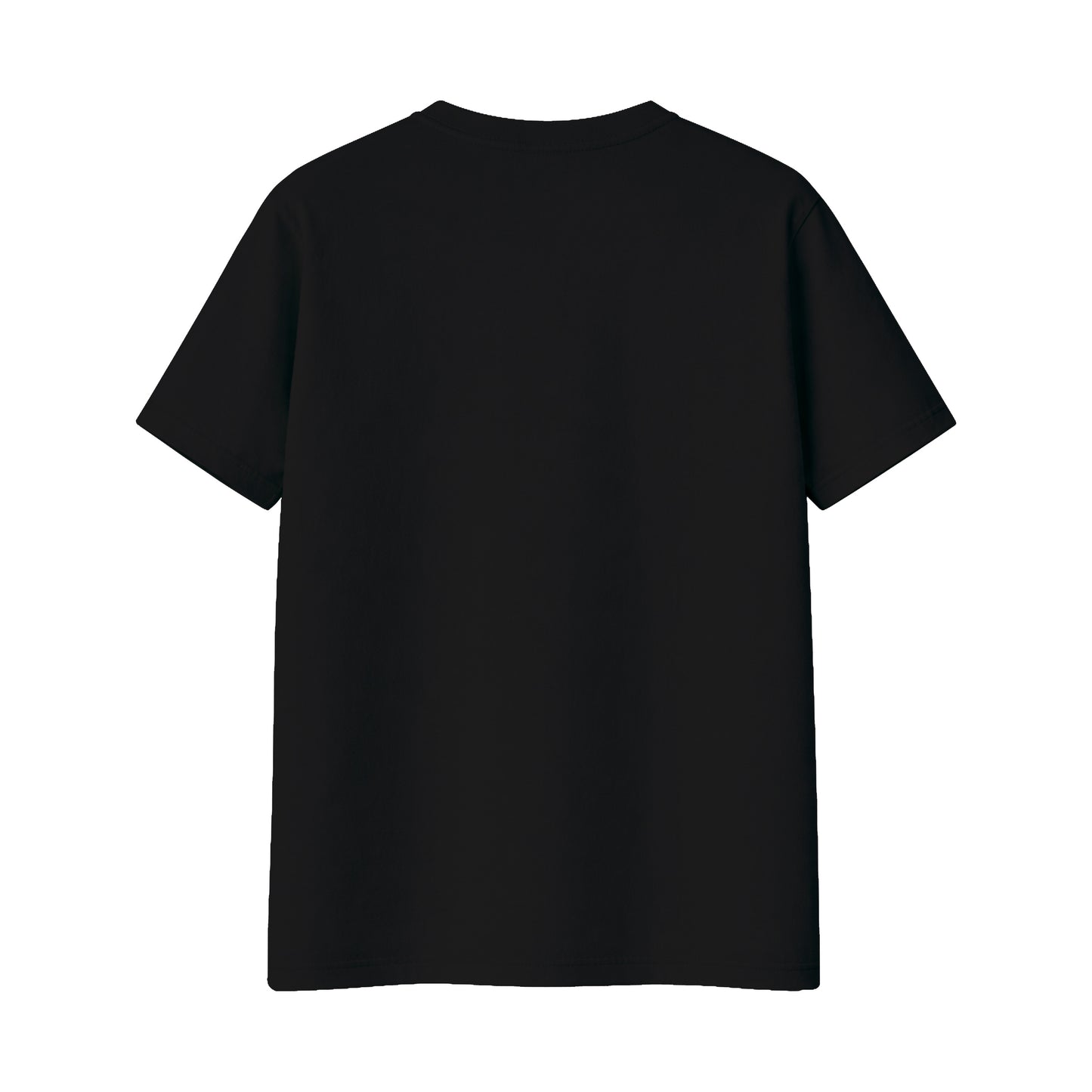 Regular Fit T-Shirt