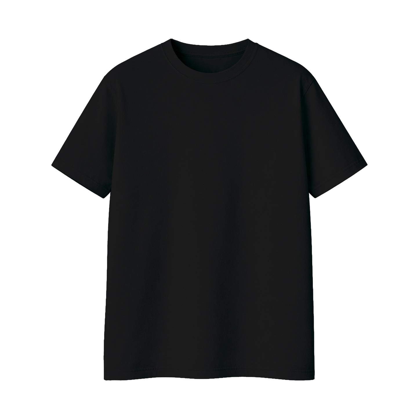 Regular Fit T-Shirt