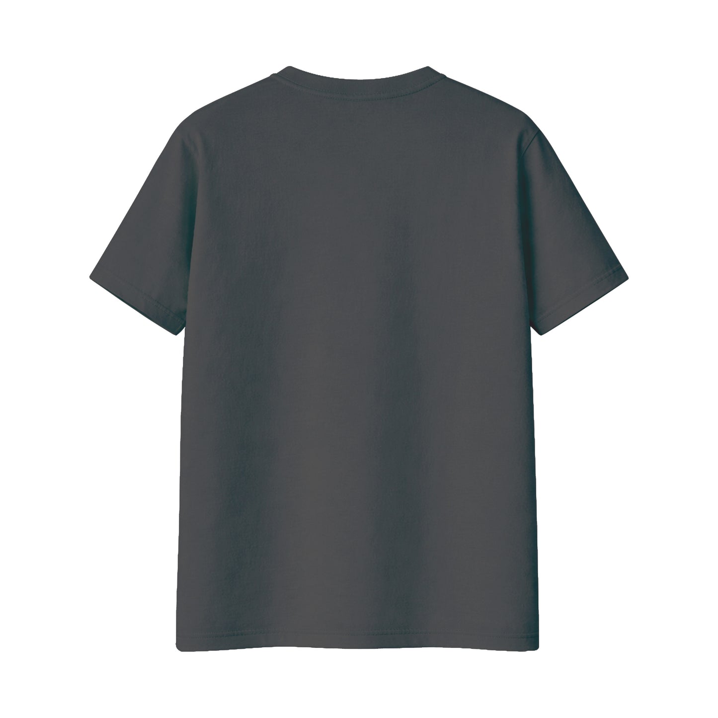 Regular Fit T-Shirt